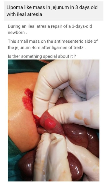 screenshot_20191220-202400639-1